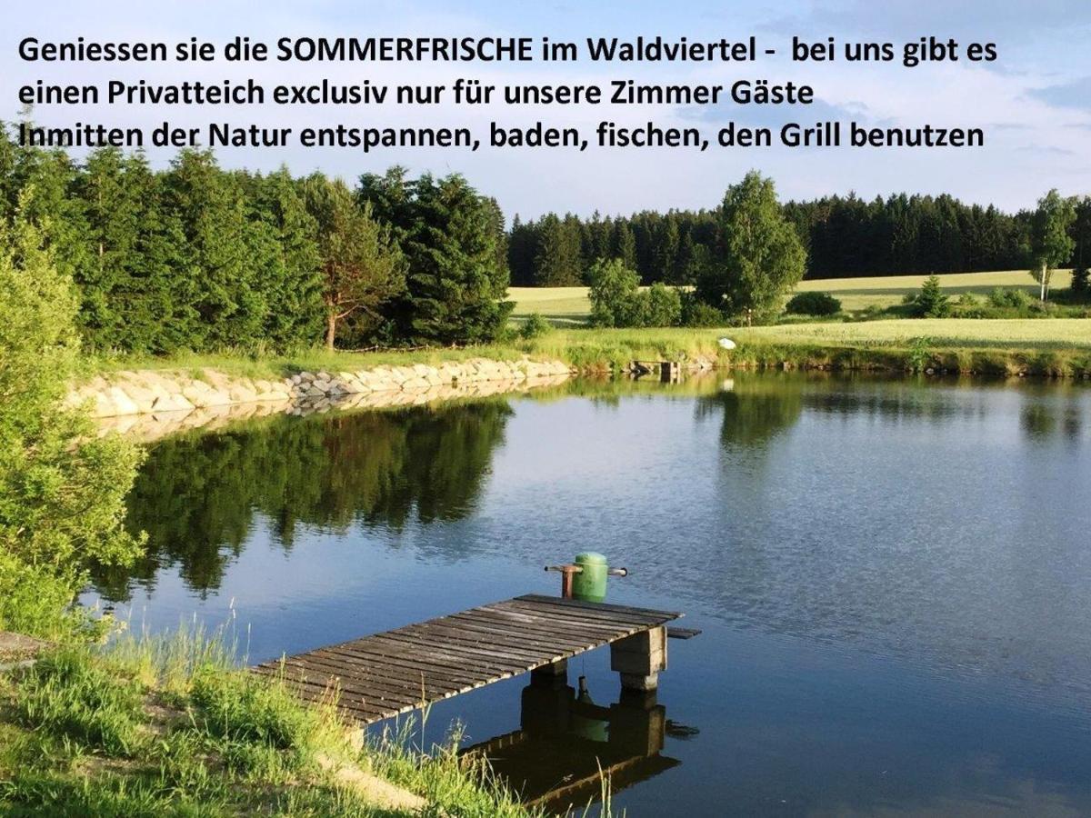 Sommerfrische Waldviertel Kirchberg am Walde Екстериор снимка